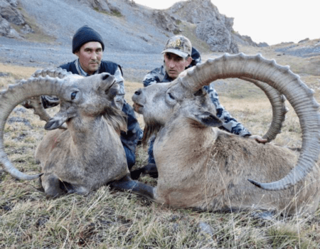 wta_2369_Screenshot 2023-10-07 at 10.36.50 PM